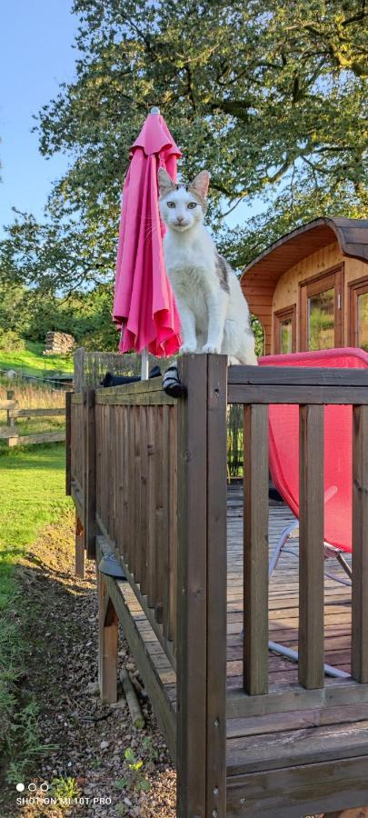 Hotel Ma Roulotte Sous Les Chenes "La Passionnee" Raon-aux-Bois Exterior foto