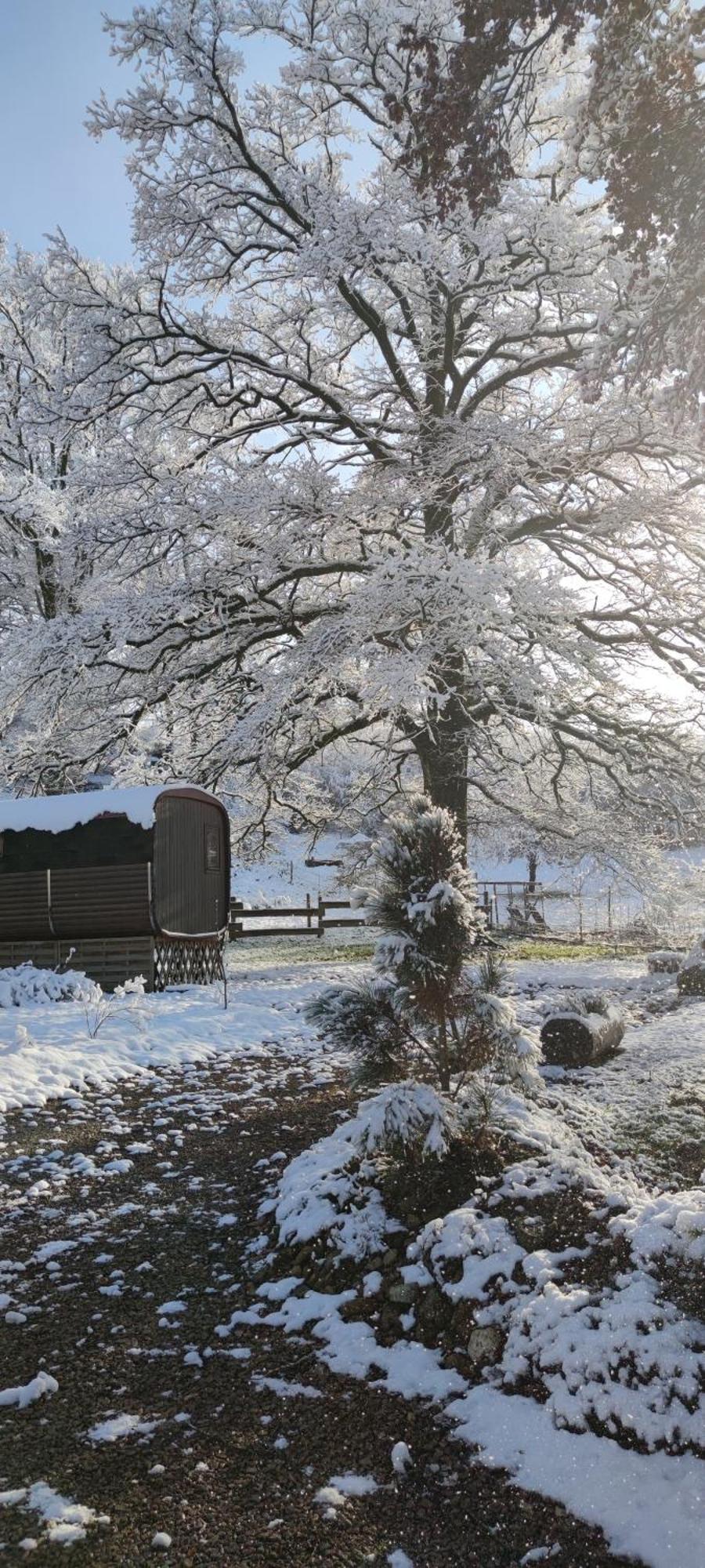 Hotel Ma Roulotte Sous Les Chenes "La Passionnee" Raon-aux-Bois Exterior foto